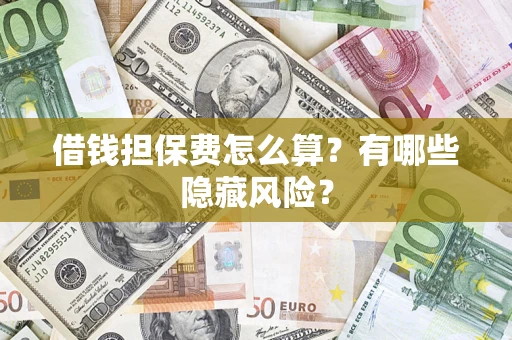 武汉借钱担保费怎么算？有哪些隐藏风险？