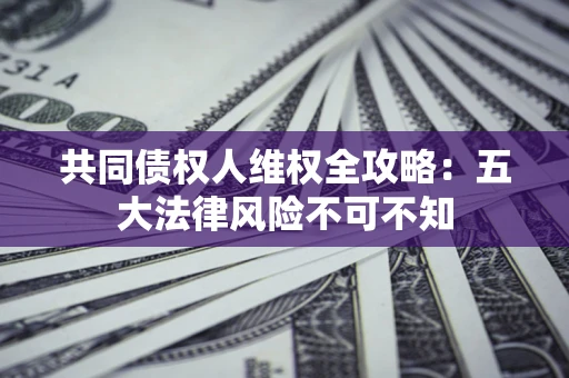 武汉共同债权人维权全攻略：五大法律风险不可不知