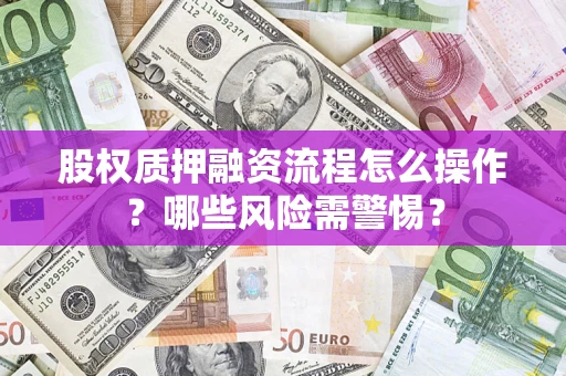 武汉股权质押融资流程怎么操作？哪些风险需警惕？