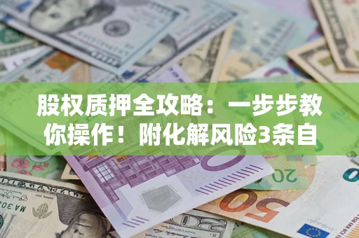 武汉股权质押全攻略：一步步教你操作！附化解风险3条自救法则