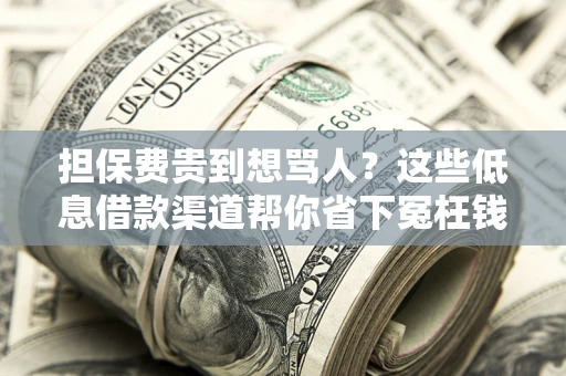 武汉担保费贵到想骂人？这些低息借款渠道帮你省下冤枉钱