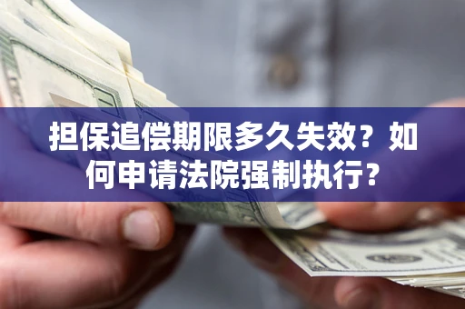 武汉担保追偿期限多久失效？如何申请法院强制执行？