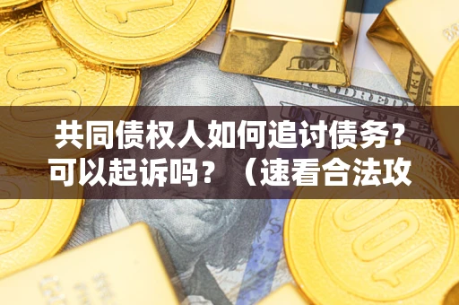 武汉共同债权人如何追讨债务？可以起诉吗？（速看合法攻略）