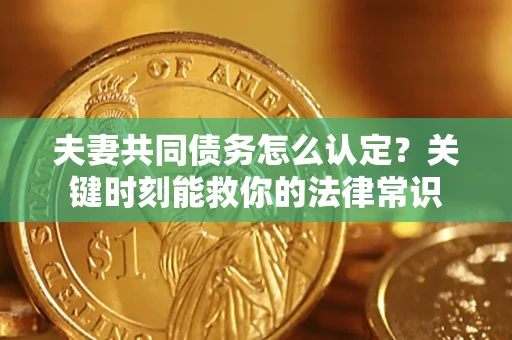 武汉夫妻共同债务怎么认定？关键时刻能救你的法律常识