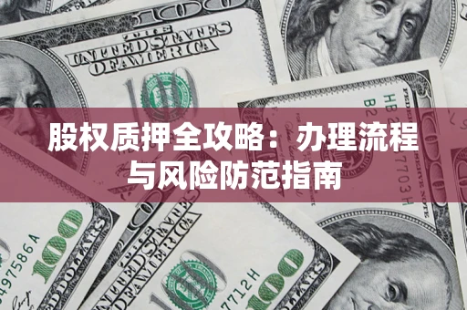 武汉股权质押全攻略：办理流程与风险防范指南