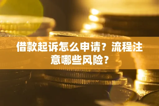 武汉借款起诉怎么申请？流程注意哪些风险？